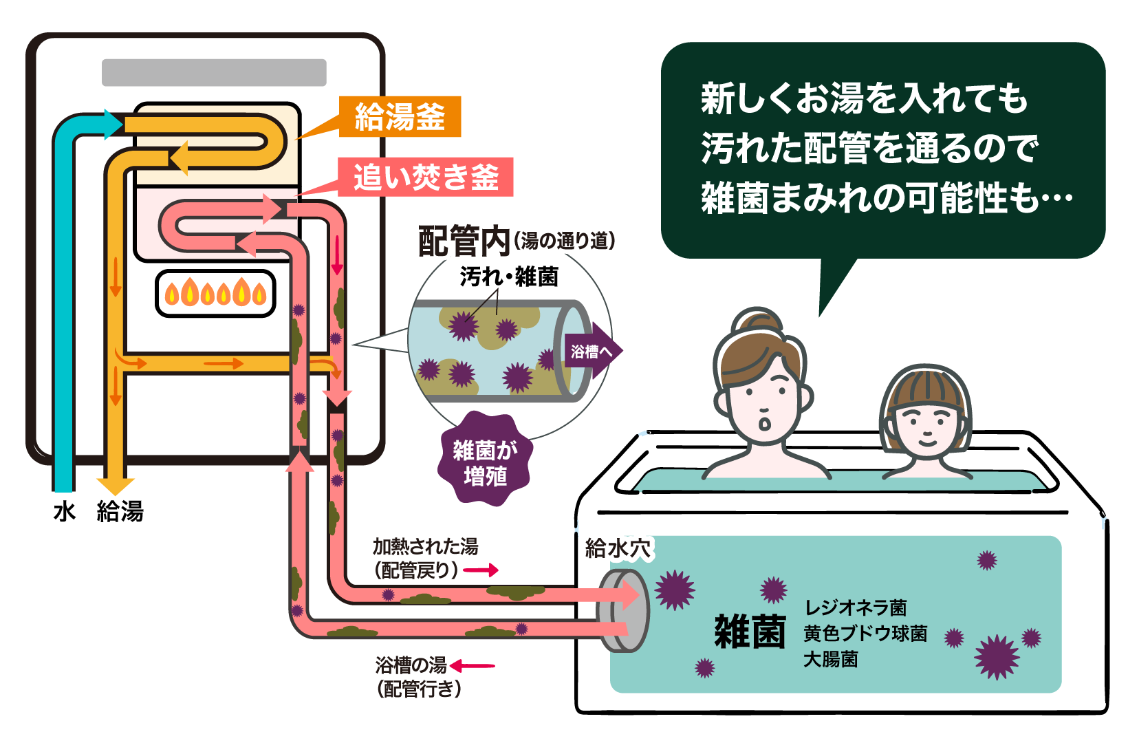 新しくお湯を入れても汚れた配管を通るので雑菌まみれの可能性も…