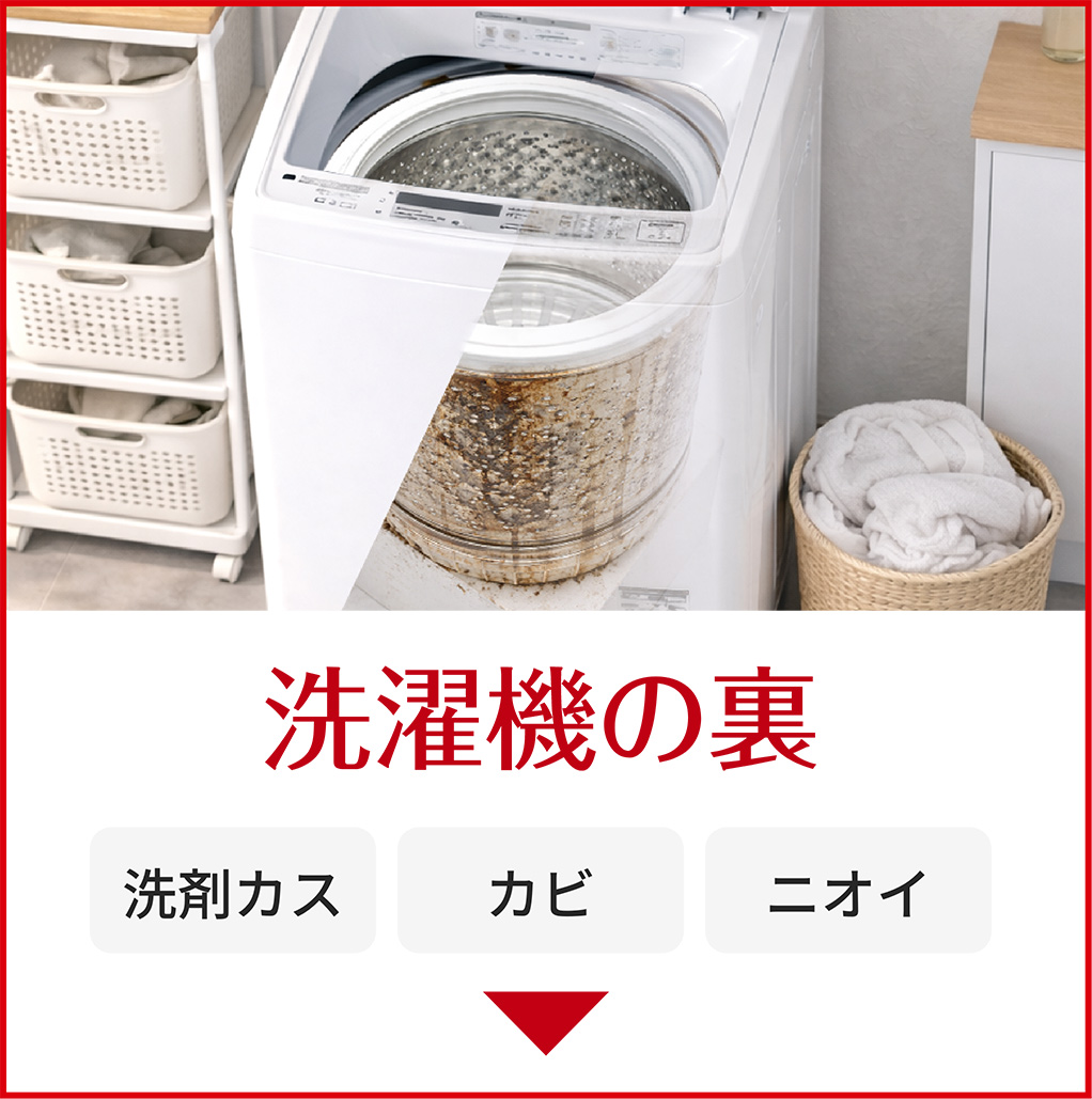洗濯機の裏
